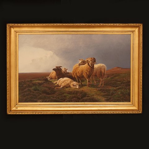 Wilhelm Zillen, 1824-73, Schafe auf einer Heidewiese. Signiert und datiert 1866. Öl auf Leinen. Lichtmasse: 61x98cm. Mit Rahmen: 80x117cm
