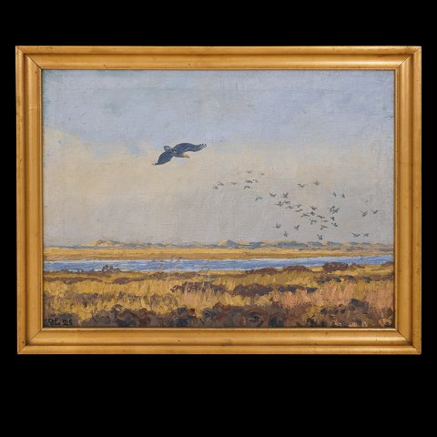Johannes Larsen, 1867-1961, Öl auf Leinen. Motiv 
in Form von einem jagenden Adler. Signiert und 
datiert 1925. Lichtmasse: 59x78cm. Mit Rahmen: 
69x88cm