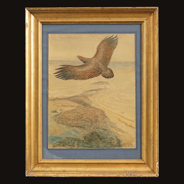 Johannes Larsen, 1867-1961, Adler. Wasserfarbe und Zeichnung. Signiert und 
datiert 1927. Lichtmasse: 32x25cm. Mit Rahmen: 47x37cm