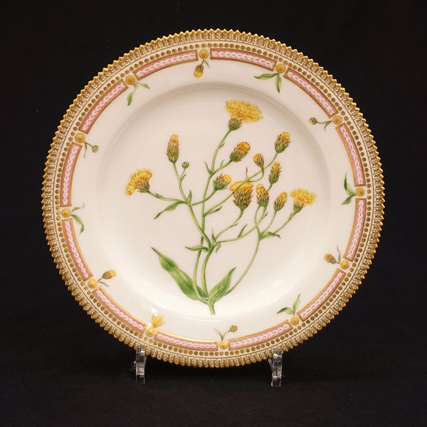 Early Flora Danica plate late 19th century. Royal Copenhagen 1870-90. "Hieracium 
umbellatum L"
D: 25cm