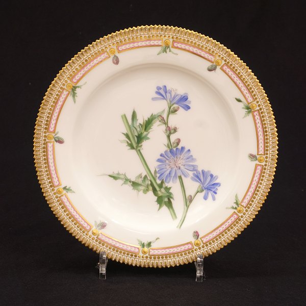 Early Flora Danica plate late 19th century. Royal Copenhagen 1870-90. "Cichorium 
Intybus L"
D: 25cm